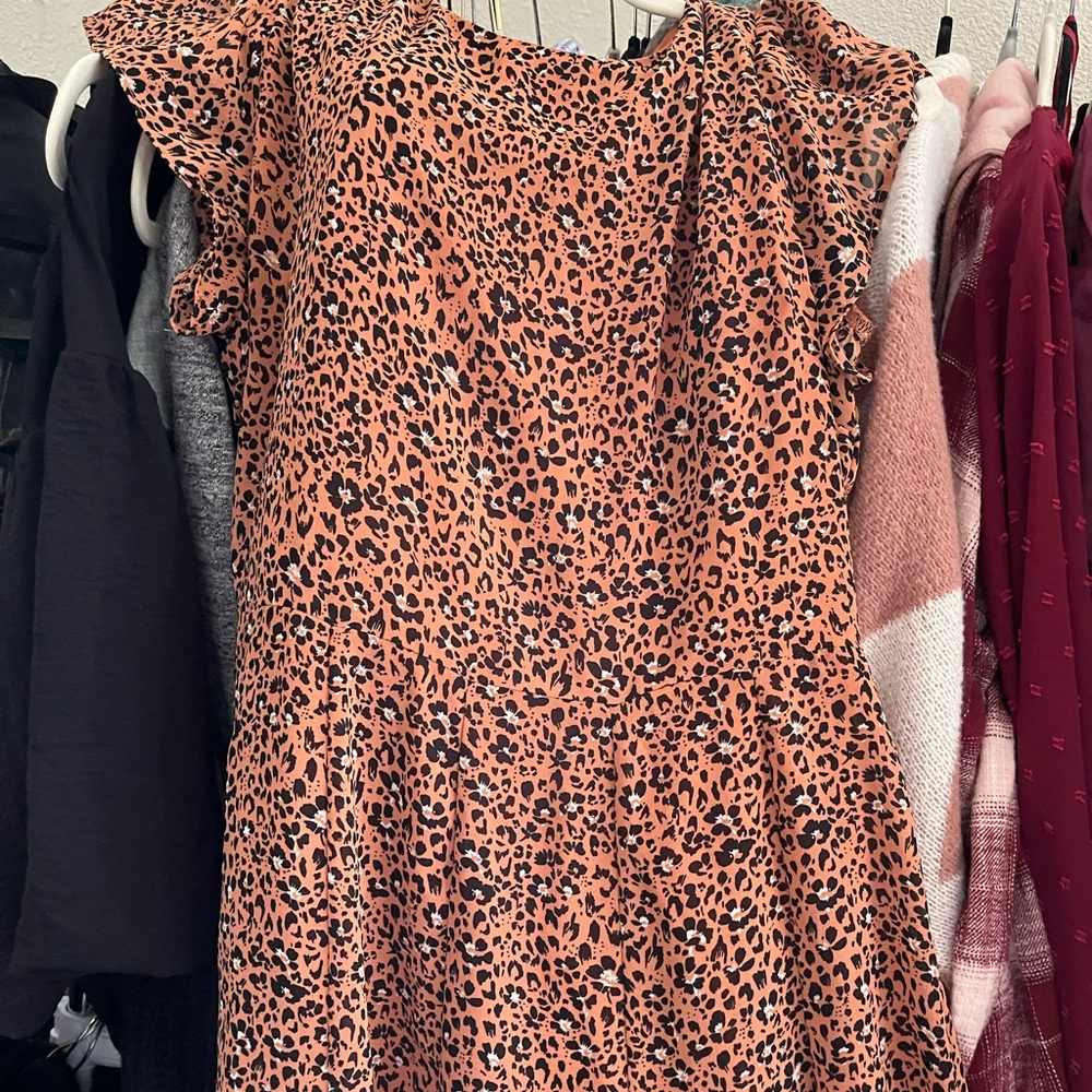 Altar’d State Leopard Dress